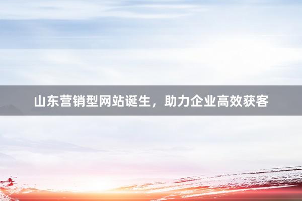 山东营销型网站诞生，助力企业高效获客