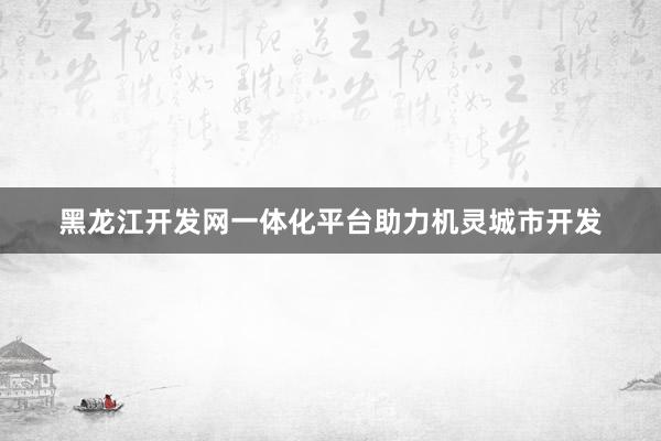 黑龙江开发网一体化平台助力机灵城市开发