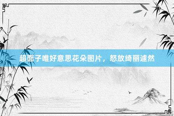 超面子唯好意思花朵图片，怒放绮丽遽然